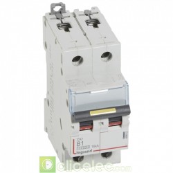 Disjoncteur DX3 2P B1 10000A/16KA 408952 Legrand