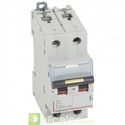 Disjoncteur DX3 2P C1 10000A/16KA 409213 Legrand