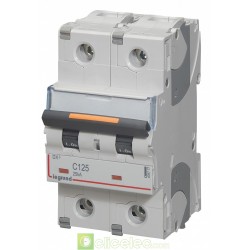 Disjoncteur DX3 2P C125 25KA 409777 Legrand